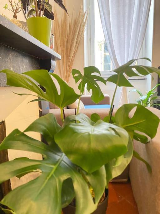 Apartamento Le Jardin Secret De Nady Carcasona Exterior foto