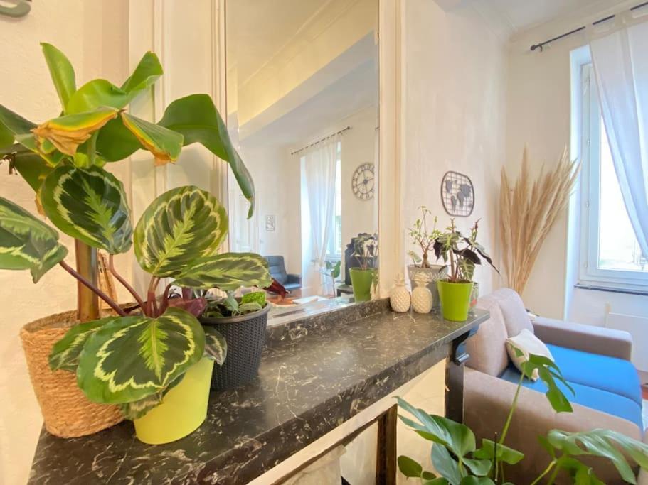 Apartamento Le Jardin Secret De Nady Carcasona Exterior foto